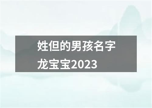 姓但的男孩名字龙宝宝2023