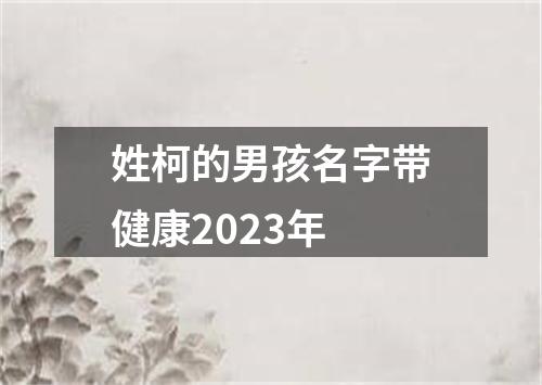 姓柯的男孩名字带健康2023年