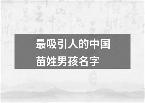 最吸引人的中国苗姓男孩名字