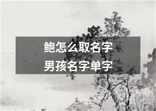 鲍怎么取名字男孩名字单字