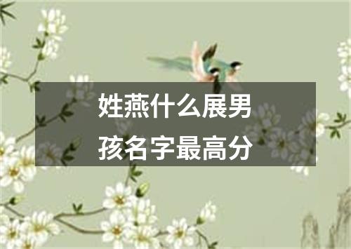 姓燕什么展男孩名字最高分