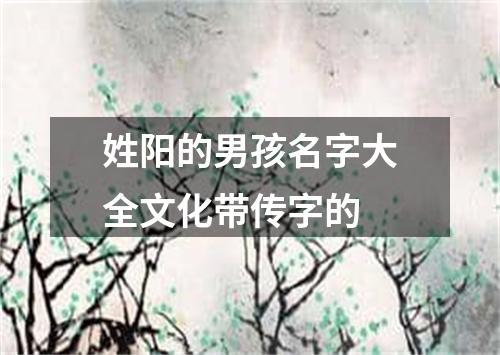 姓阳的男孩名字大全文化带传字的