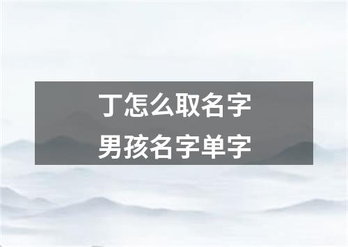 丁怎么取名字男孩名字单字