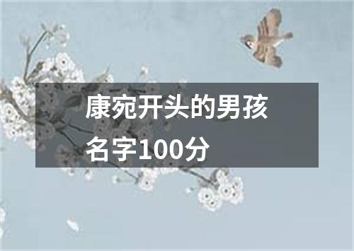 康宛开头的男孩名字100分