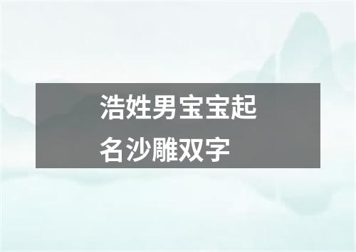 浩姓男宝宝起名沙雕双字