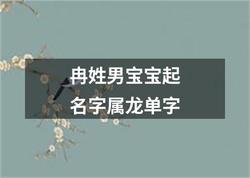 冉姓男宝宝起名字属龙单字