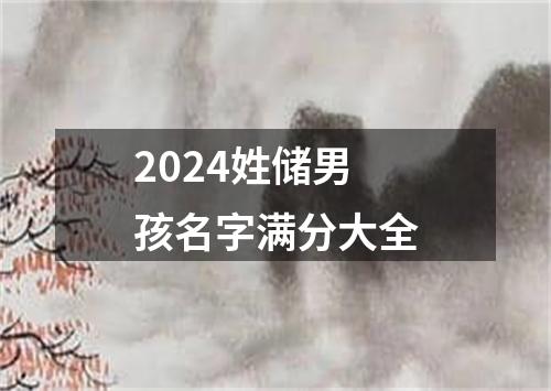 2024姓储男孩名字满分大全