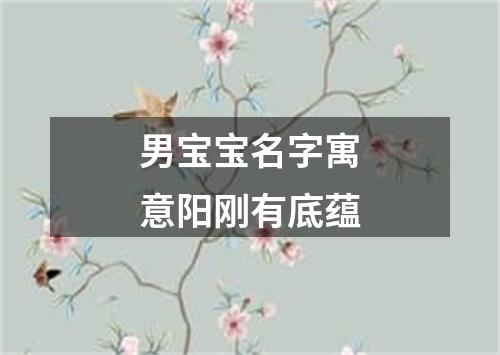 男宝宝名字寓意阳刚有底蕴