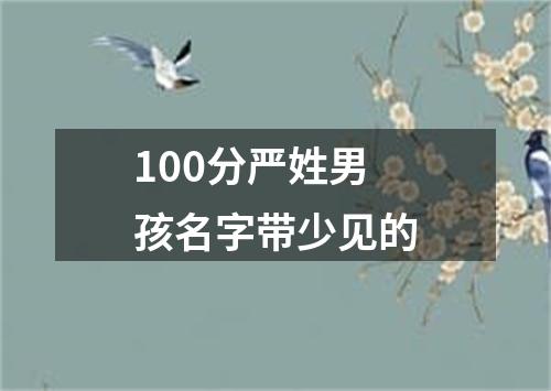 100分严姓男孩名字带少见的