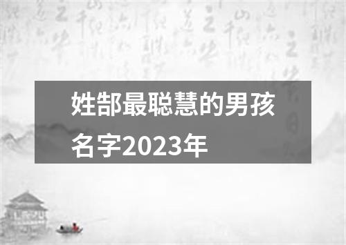 姓郜最聪慧的男孩名字2023年