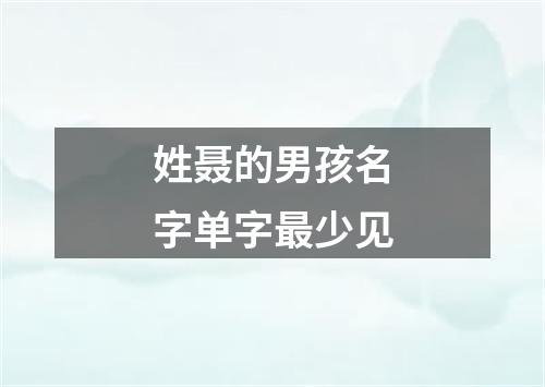 姓聂的男孩名字单字最少见