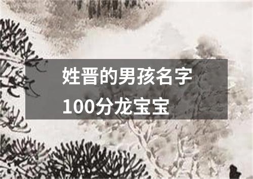 姓晋的男孩名字100分龙宝宝