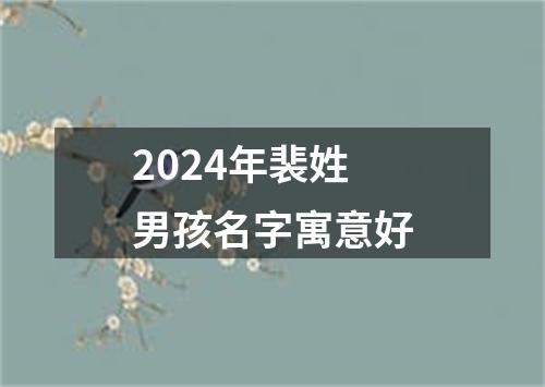 2024年裴姓男孩名字寓意好