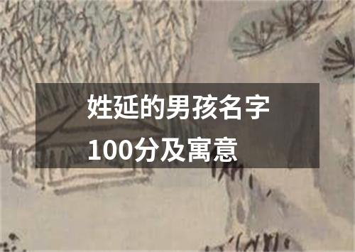 姓延的男孩名字100分及寓意