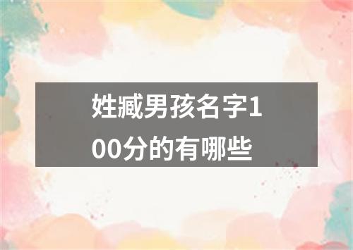 姓臧男孩名字100分的有哪些