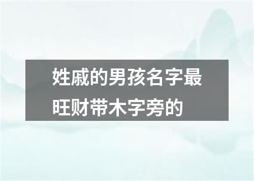 姓戚的男孩名字最旺财带木字旁的