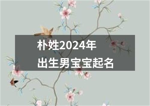 朴姓2024年出生男宝宝起名