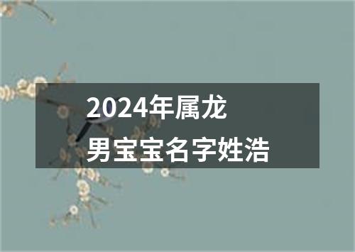 2024年属龙男宝宝名字姓浩