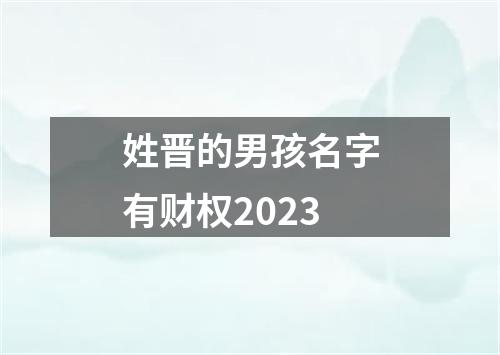 姓晋的男孩名字有财权2023