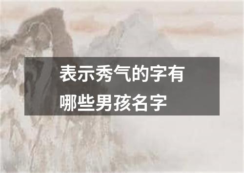 表示秀气的字有哪些男孩名字