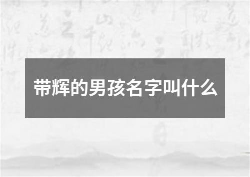 带辉的男孩名字叫什么