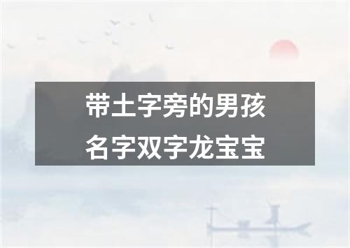 带土字旁的男孩名字双字龙宝宝