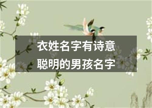 衣姓名字有诗意聪明的男孩名字