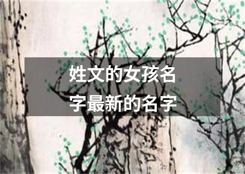 姓文的女孩名字最新的名字