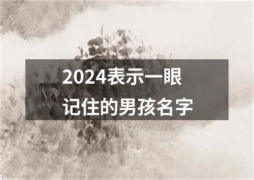 2024表示一眼记住的男孩名字