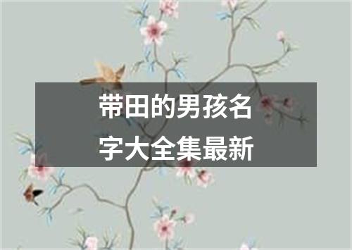 带田的男孩名字大全集最新