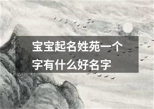 宝宝起名姓苑一个字有什么好名字