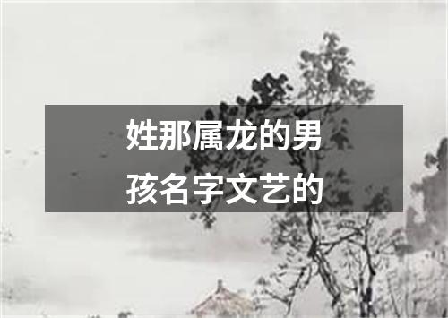 姓那属龙的男孩名字文艺的