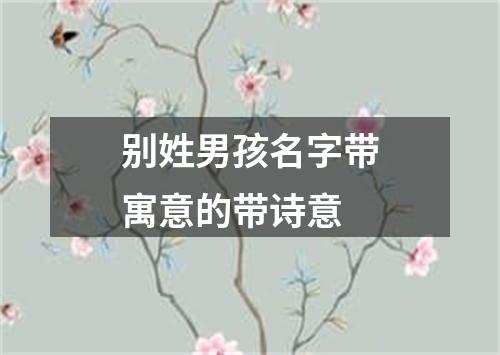 别姓男孩名字带寓意的带诗意