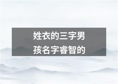 姓衣的三字男孩名字睿智的