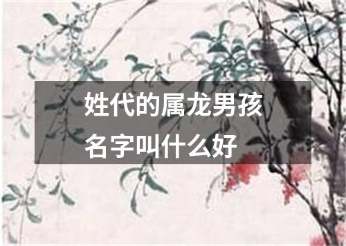 姓代的属龙男孩名字叫什么好