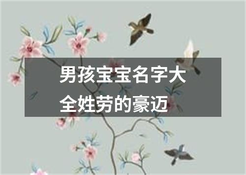 男孩宝宝名字大全姓劳的豪迈