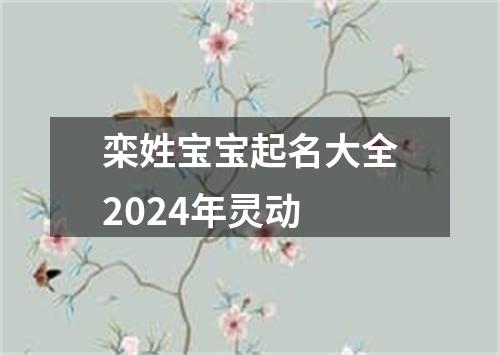 栾姓宝宝起名大全2024年灵动