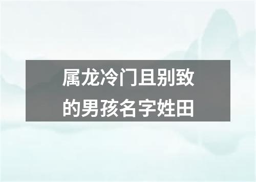 属龙冷门且别致的男孩名字姓田