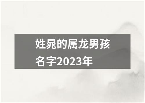 姓晁的属龙男孩名字2023年