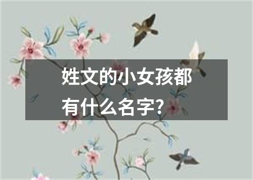 姓文的小女孩都有什么名字?