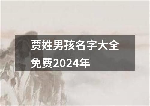 贾姓男孩名字大全免费2024年