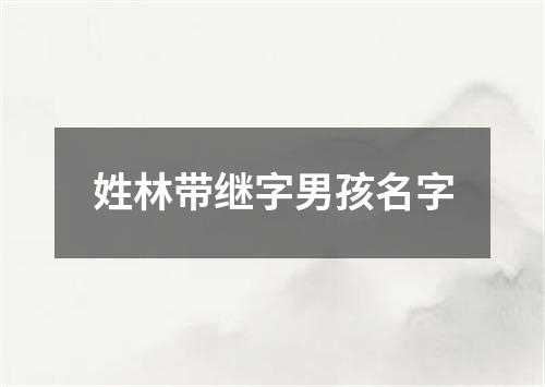 姓林带继字男孩名字