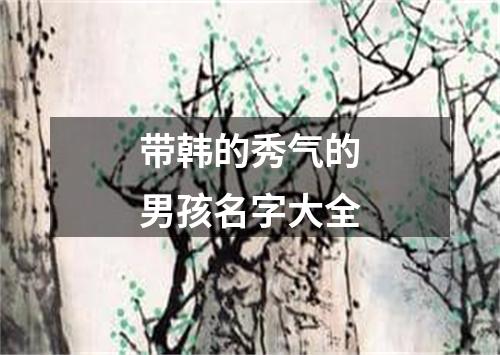 带韩的秀气的男孩名字大全