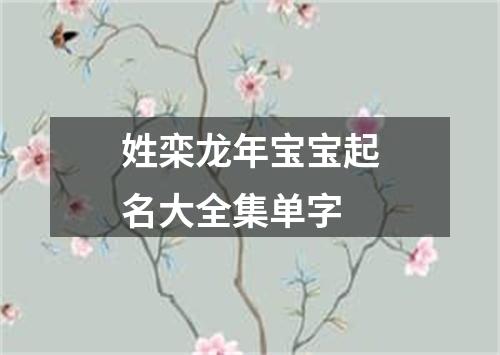 姓栾龙年宝宝起名大全集单字