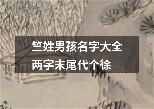 竺姓男孩名字大全两字末尾代个徐