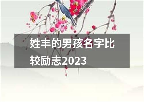 姓丰的男孩名字比较励志2023