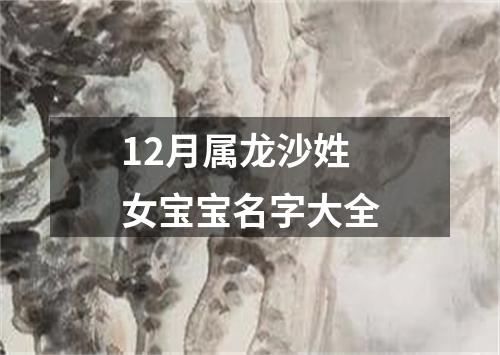 12月属龙沙姓女宝宝名字大全