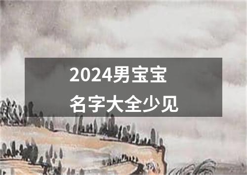 2024男宝宝名字大全少见