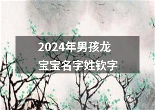 2024年男孩龙宝宝名字姓钦字