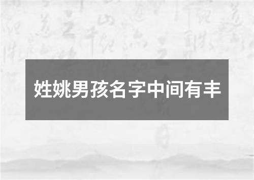 姓姚男孩名字中间有丰